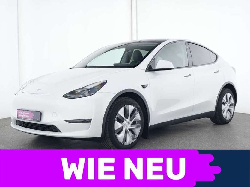 Model Y