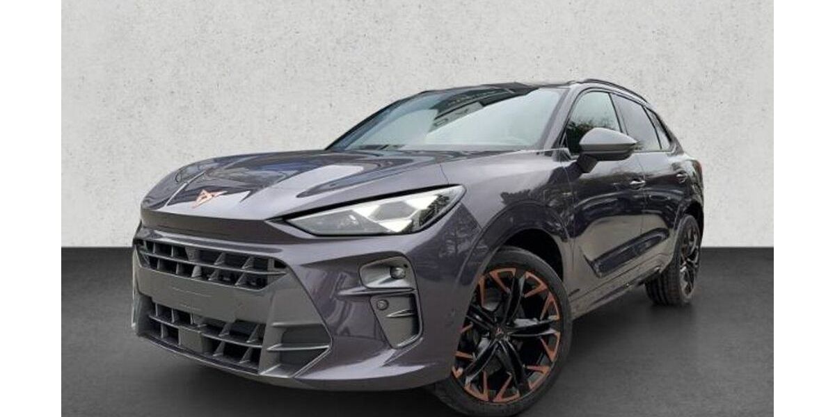 Cupra Terramar 15.650 km 45.750 &euro; Friedberg 61169