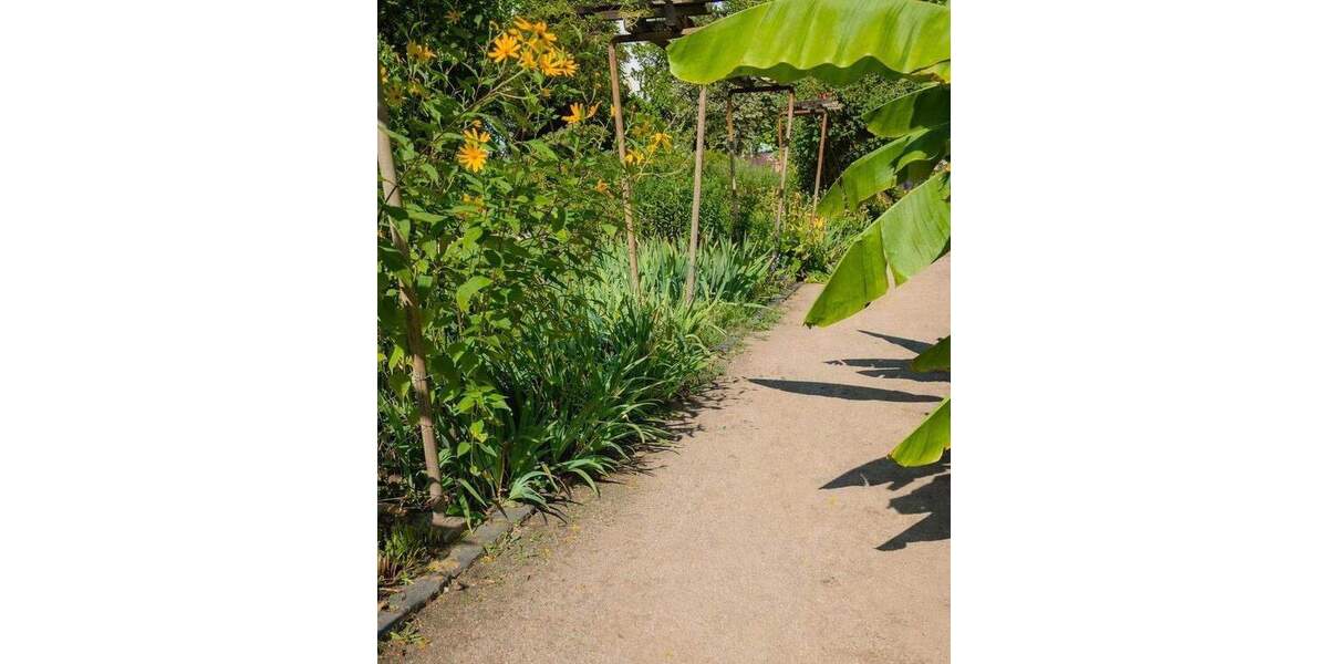 Etagenwohnung Frankfurt am Main Nordend-Ost - 3 Zimmer, 94 m&sup2;, 739.000&euro; | Angebot:25755200