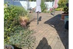 Einfamilienhaus Neuberg - 5 Zimmer, 165 m&sup2;, 325.000&euro; | Angebot:27236601