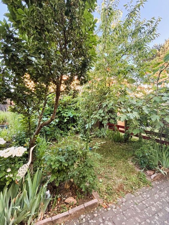 Provisionsfrei* Maintal-Bischofsheim (Spessartstr.): Neuwertiges, modernes RMH in ruhiger Lage