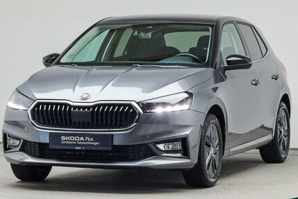 Skoda Fabia 49.200 km 16.888 € Mühlheim 63165