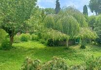 Traumgarten mit freistehendem Einfamilienhaus mitten in Roßdorf