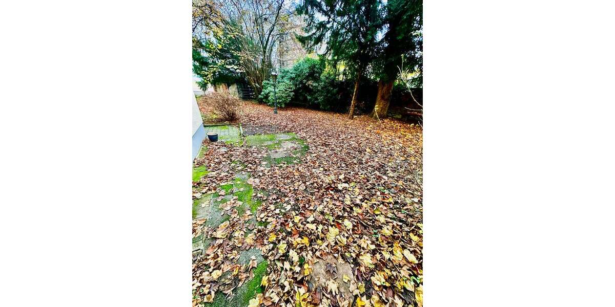 Etagenwohnung Frankfurt Bornheim - 4 Zimmer, 80 m&sup2;, 499.000&euro; | Angebot:24634321