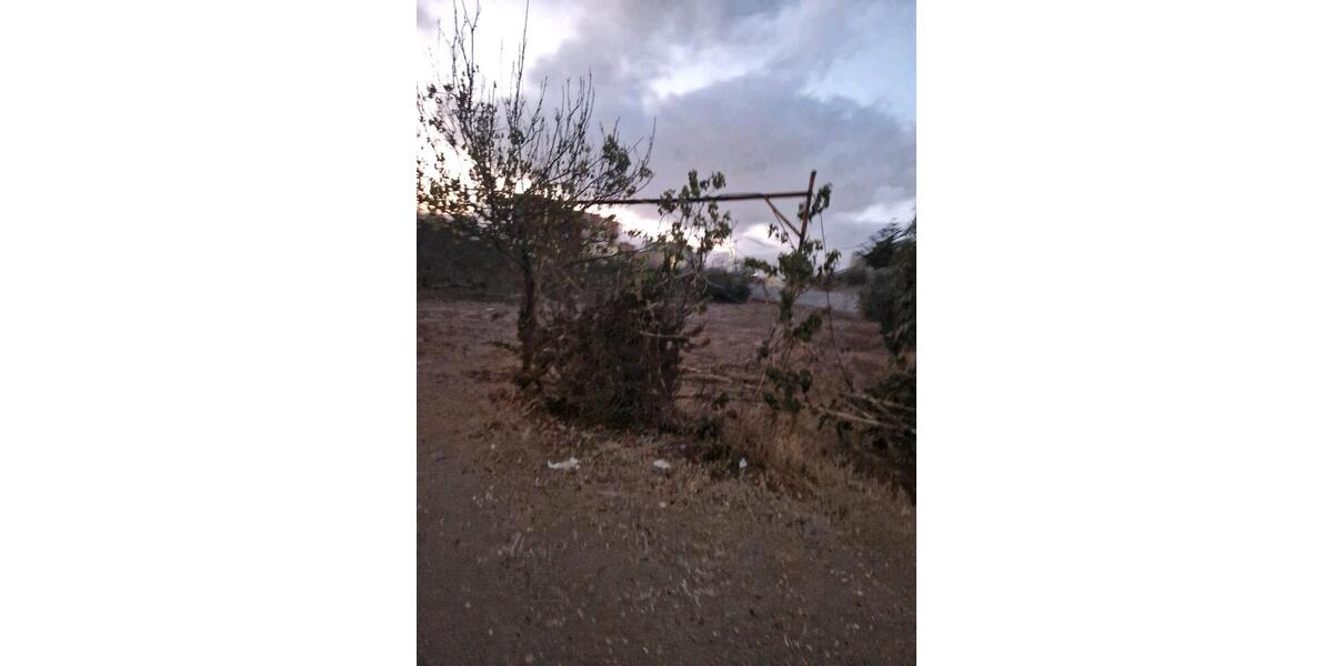 Einfamilienhaus Frankfurt am Main Fechenheim - 320.000&euro; | Angebot:21554425