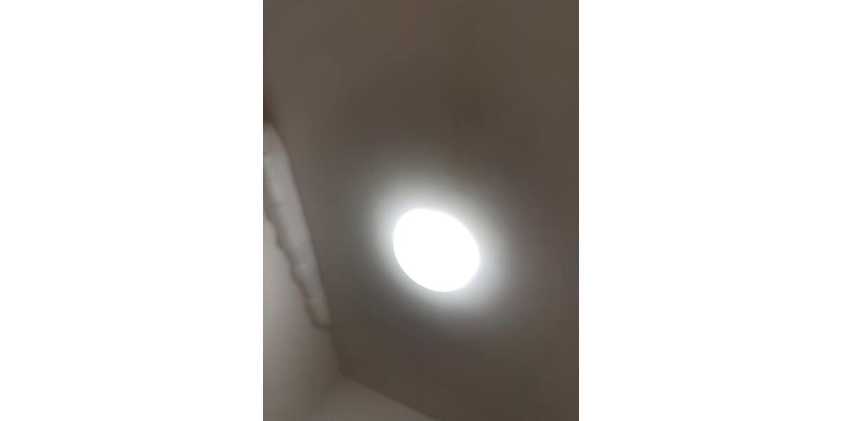 Erdgeschoßwohnung Hanau Lamboy - 2 Zimmer, 50 m&sup2;, 890&euro; | Angebot:25759557