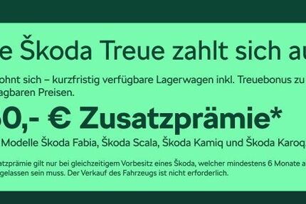 Skoda Fabia 4.500 km 19.480 &euro; Frankfurt 60435