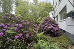 Etagenwohnung Bad Homburg vor der Höhe Berliner Siedlung/Gartenfeld - 3 Zimmer, 60 m&sup2;, 1.350&euro; | Angebot:26698348