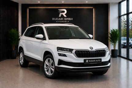 Skoda Karoq 154.136 km 19.950 &euro; Frankfurt am Main 60386
