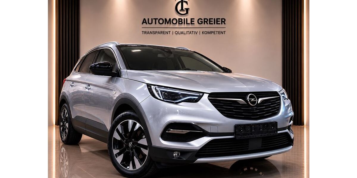 Opel Grandland (X) 133.100 km 13.399 &euro; Nidderau 61130