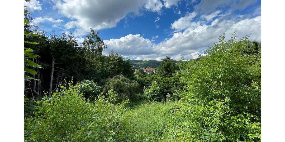 Grundstück zu verkaufen in Königstein 1.400.000 € 1293 m² zimmer