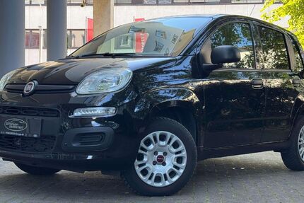 Fiat Panda 16.000 km 10.999 € Darmstadt 64293