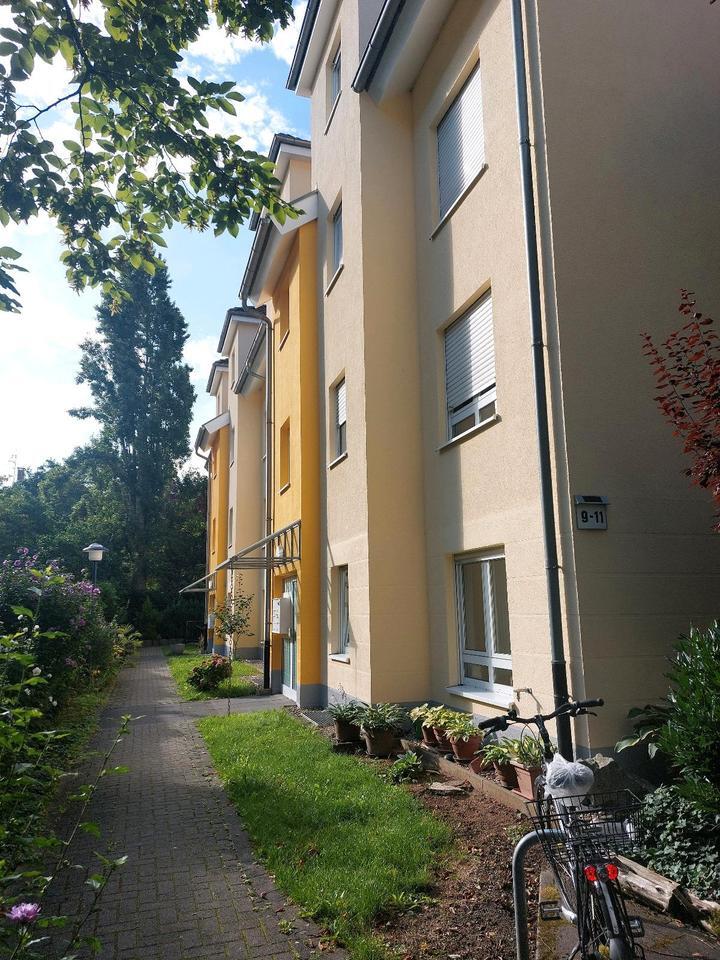 3 Zimmer Wohnung
