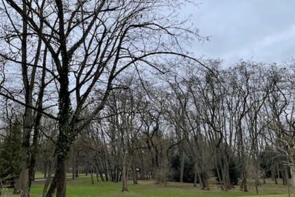 SONNIGES KOMFORT-WG-ZIMMER MIT SÜDBALKON AM ELLI-LUCHT-PARK 1 zimmer