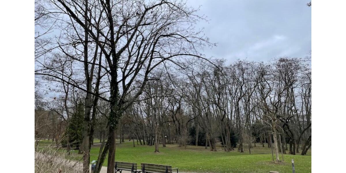 SONNIGES KOMFORT-WG-ZIMMER MIT SÜDBALKON AM ELLI-LUCHT-PARK 1 zimmer