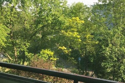 Top renovierte 1-Zimmerwohnung mit Terrasse 1.5 zimmer