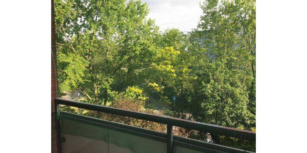 Top renovierte 1-Zimmerwohnung mit Terrasse 1.5 zimmer