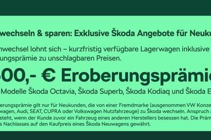 Skoda Enyaq 12.000 km 46.980 &euro; Frankfurt 60435