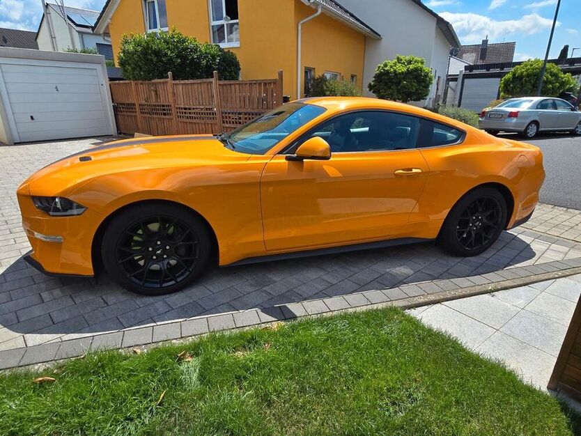 Mustang