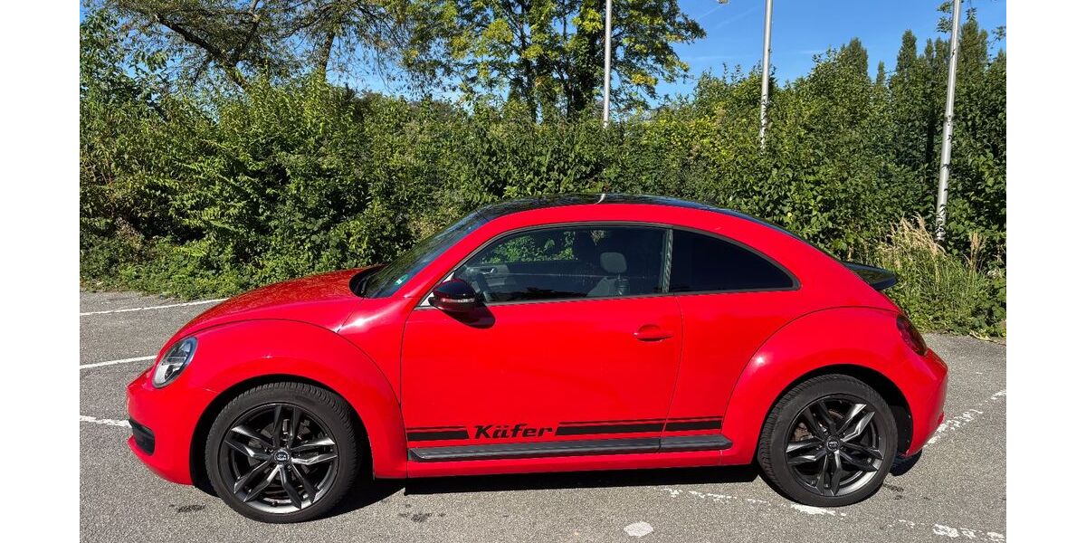 VW Beetle 145.000 km 6.990 &euro; Flörsheim 65439