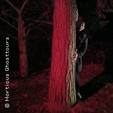 Nosferatus Auferstehung 20.12.2025 U-Bahn-Haltestelle Niddapark, Treppe nach unten