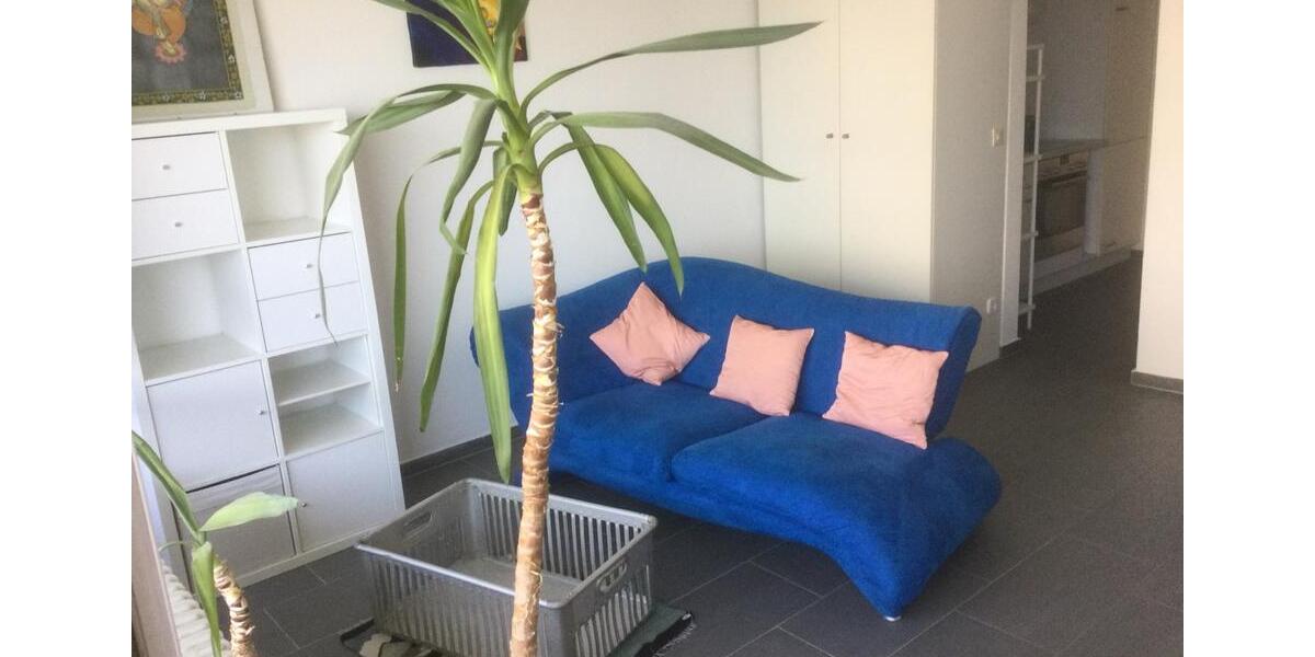 1 Zimmer Wohnung in Frankfurt Eckenheim nahe U5 1 zimmer