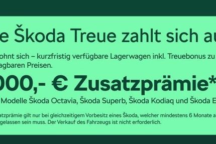 Skoda Enyaq 12.000 km 49.480 &euro; Frankfurt 60435