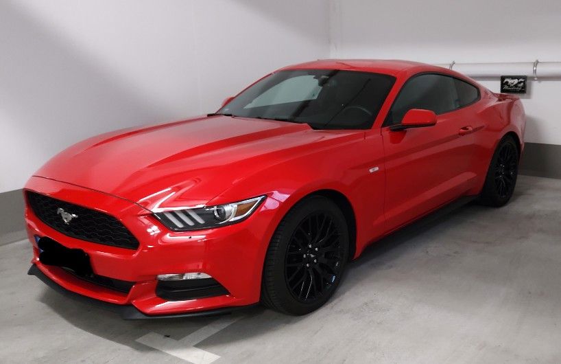 Mustang