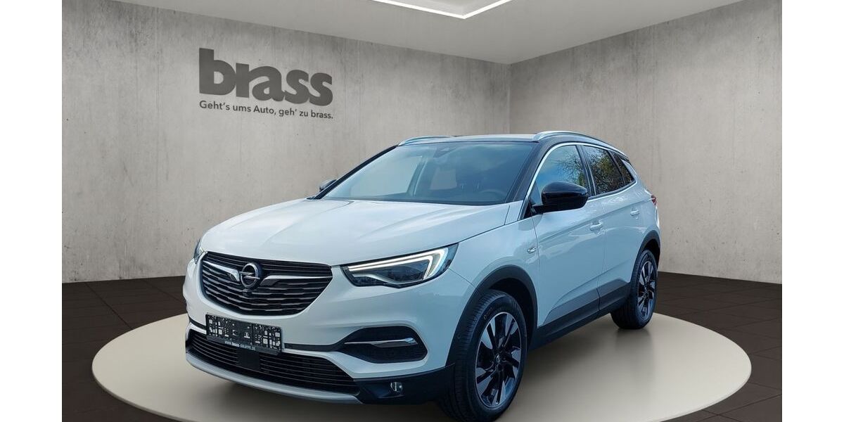 Opel Grandland (X) 82.100 km 19.800 &euro; Dietzenbach 63128