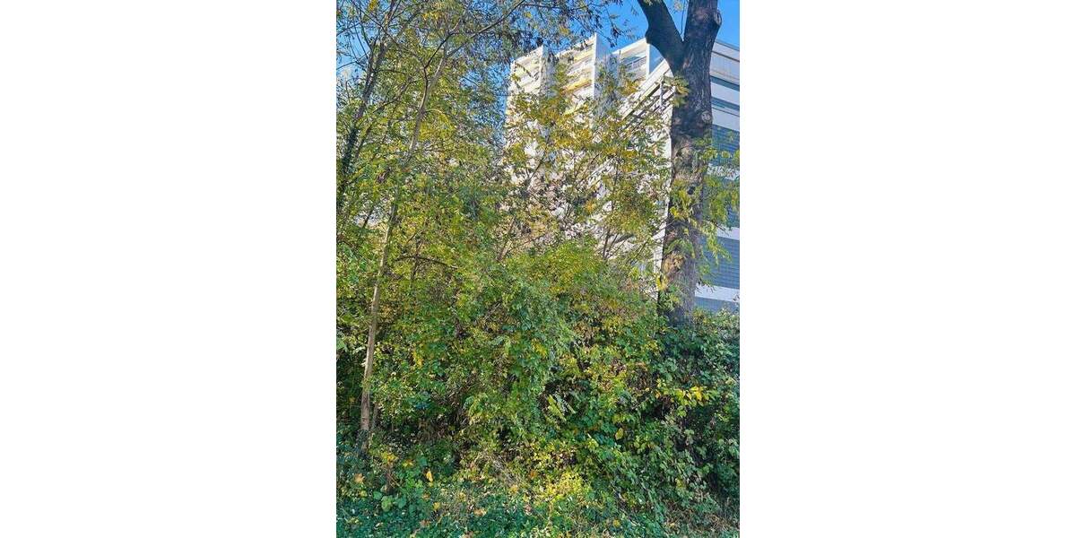 Über den Dächern von Bad Homburg ETW 3 Zimmer 3 zimmer