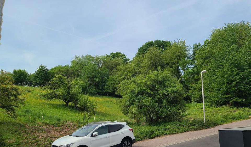 Erdgeschoßwohnung Alzenau - 5 Zimmer, 140 m&sup2;, 1.270&euro; | Angebot:26678756