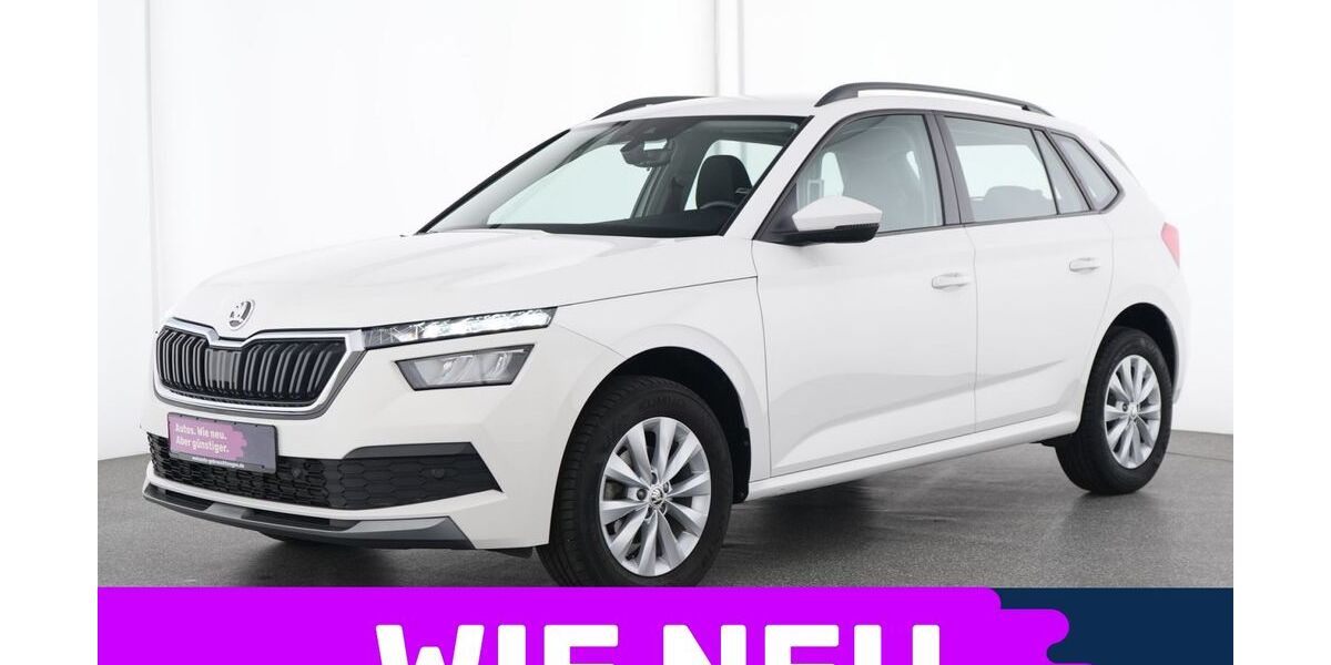 Skoda Kamiq 45.964 km 17.177 &euro; Dietzenbach bei Frankfurt 63128