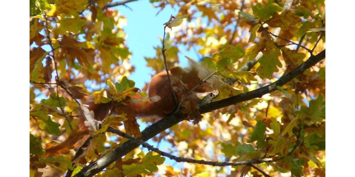 Etagenwohnung Frankfurt am Main Bockenheim - 2 Zimmer, 64 m&sup2;, 429.000&euro; | Angebot:25799285