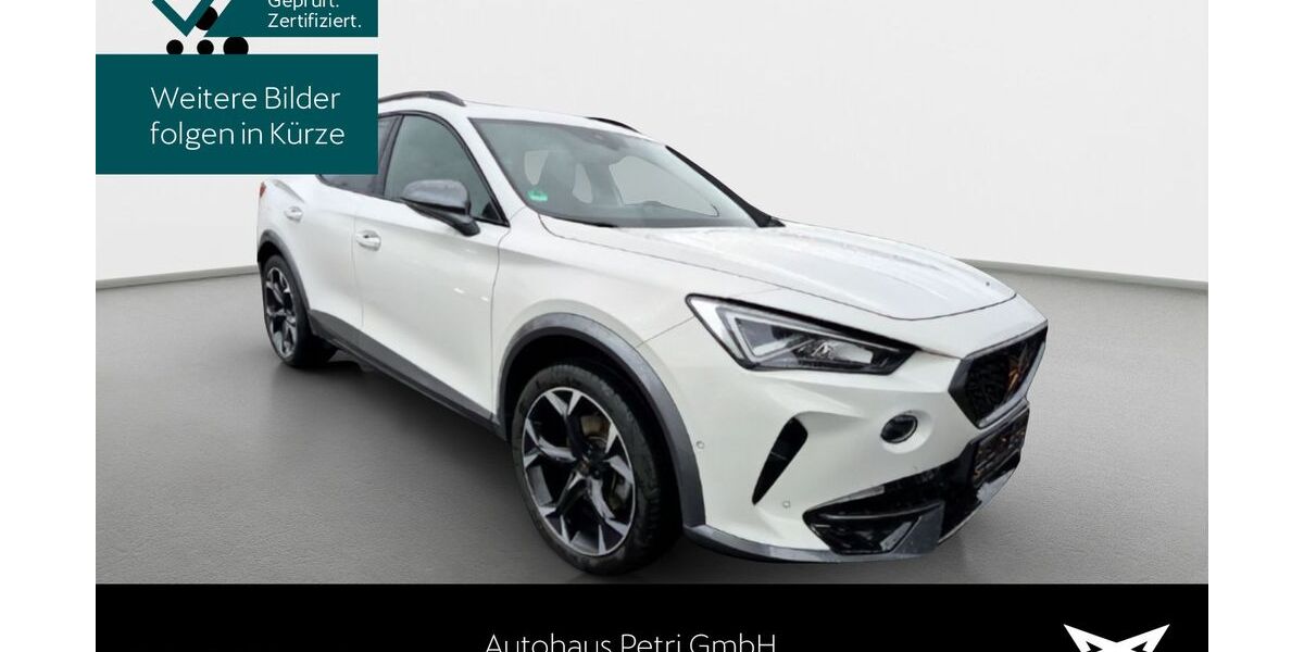 Cupra Formentor 57.894 km 23.690 &euro; Hofheim-Diedenbergen 65719