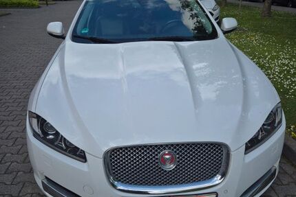 Jaguar XF 198.500 km 5.500 &euro; Frankfurt 60437