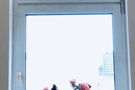 WG-Zimmer in 2-Zimmer-Wohnung – 550 € je Zimmer (warm) Innenstadt 2 zimmer