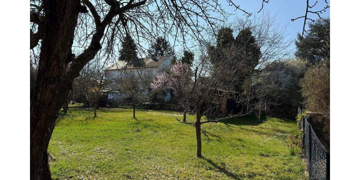 Abrißgrundstück mit großem Potential in DA-Arheilgen zimmer