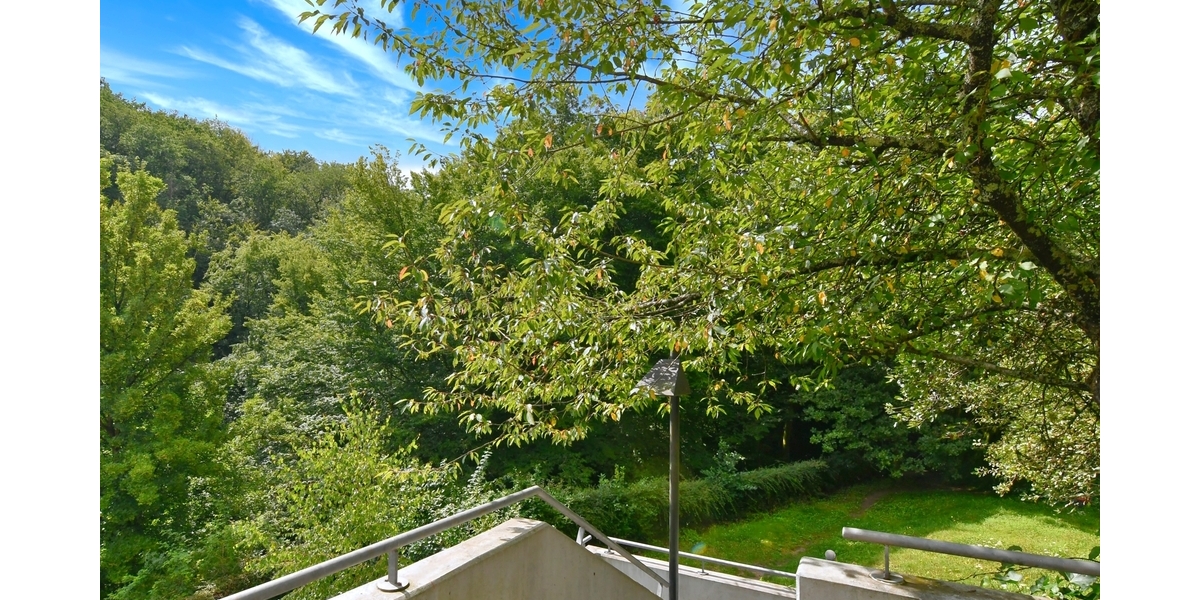 RESERVIERT!!! Direkt an der Natur - 3 Zi + Office, große Terrasse, 2 Plätze TG - Terrassenwohnung Eppstein | Angebot:25570514