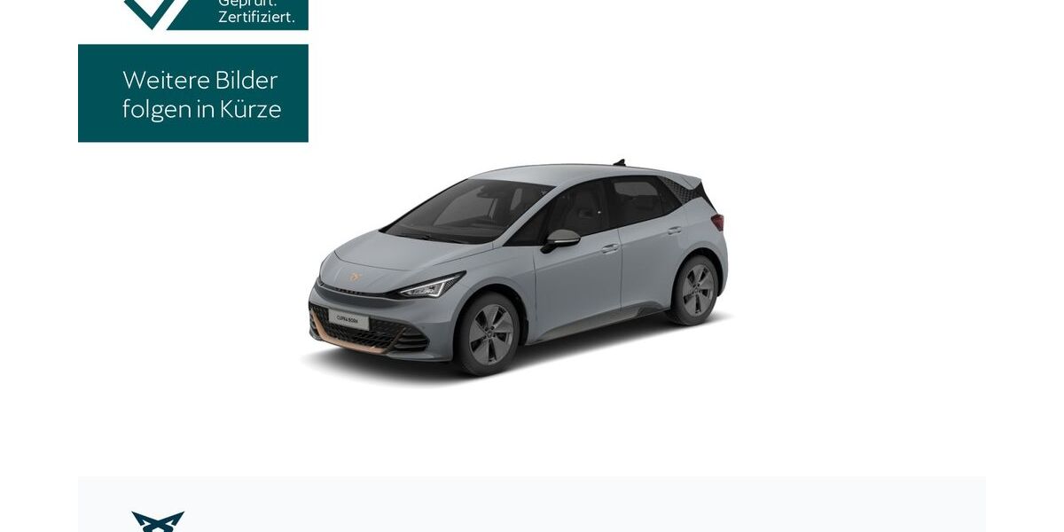 Cupra Born 35.261 km 24.630 &euro; Hofheim-Diedenbergen 65719