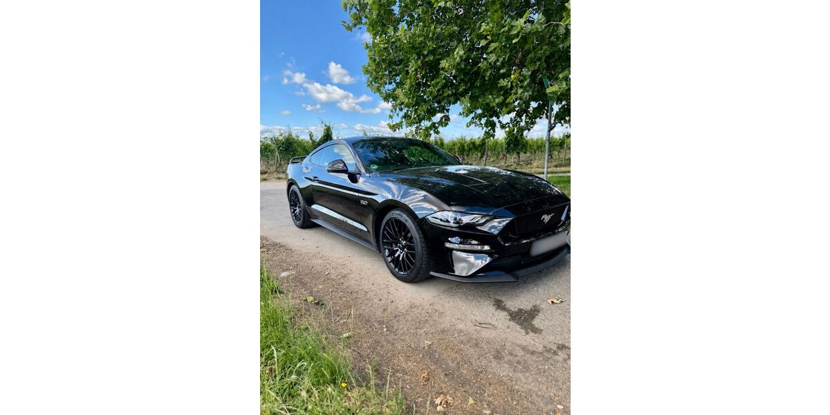 Ford Mustang 38.000 km 48.800 &euro; Hochheim am Main 65239