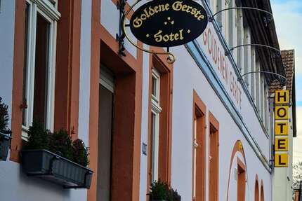 Gastronomie in Frankfurt 1.999.999 € 450 m² zimmer