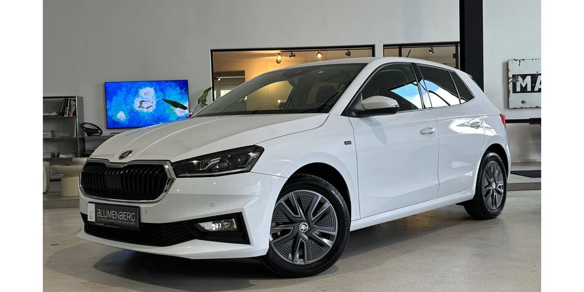 Skoda Fabia 36.809 km 18.980 &euro; Rodgau-Weiskirchen/nähe Frankfurt am Main 63110