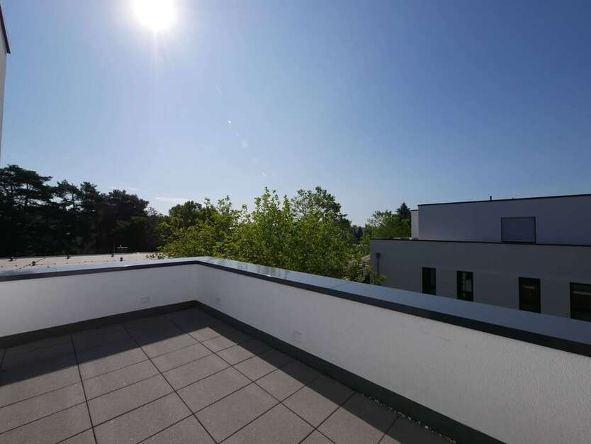 Wohnung zum Mieten in Dreieich 4.600 € 244 m²