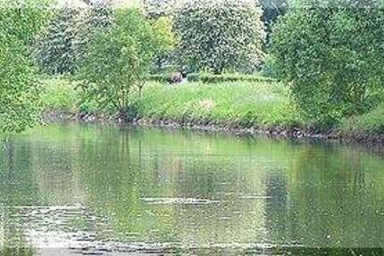 Haus Frankfurt am Main Ginnheim - 9 Zimmer, 260 m&sup2;, 2.100.000&euro; | Angebot:25383225