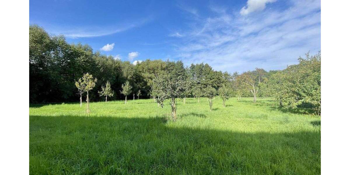 Terrassenwohnung Kronberg - 2 Zimmer, 45 m&sup2;, 349.900&euro; | Angebot:25784570