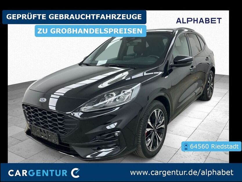 Kuga