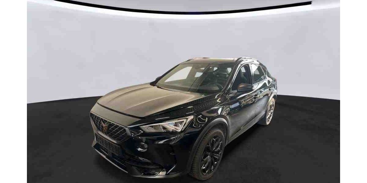Cupra Formentor 36.000 km 29.449 &euro; Mühlheim 63165