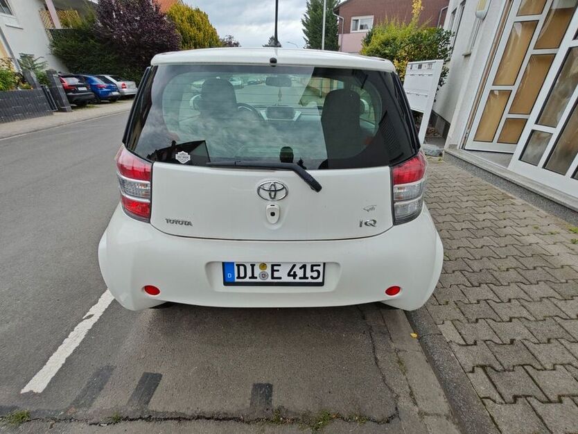 IQ