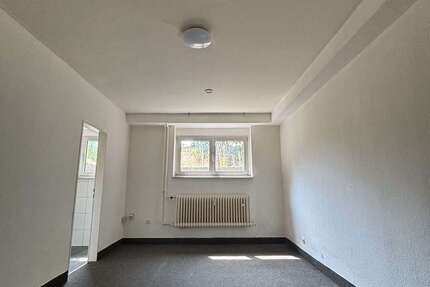 Wohnung Frankfurt am Main Niederrad - 1 Zimmer, 25 m&sup2;, 550&euro; | Angebot:27156646