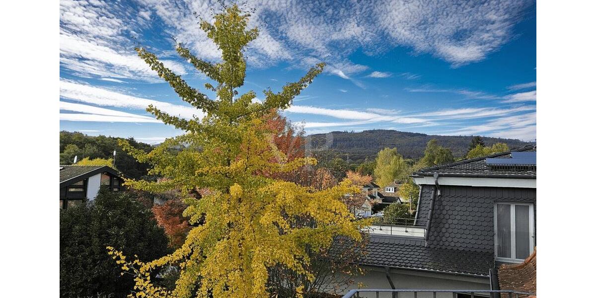Einfamilienhaus Bad Homburg vor der Höhe Gonzenheim - 5 Zimmer, 227 m&sup2;, 3.300&euro; | Angebot:23393660